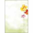 DP123 sigel Motivpapier Spring Flowers, 90 g/m², 50 Blatt
