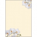 sigel Motiv-Papier white orchid, A4, 90g, 50 Blatt, DP904